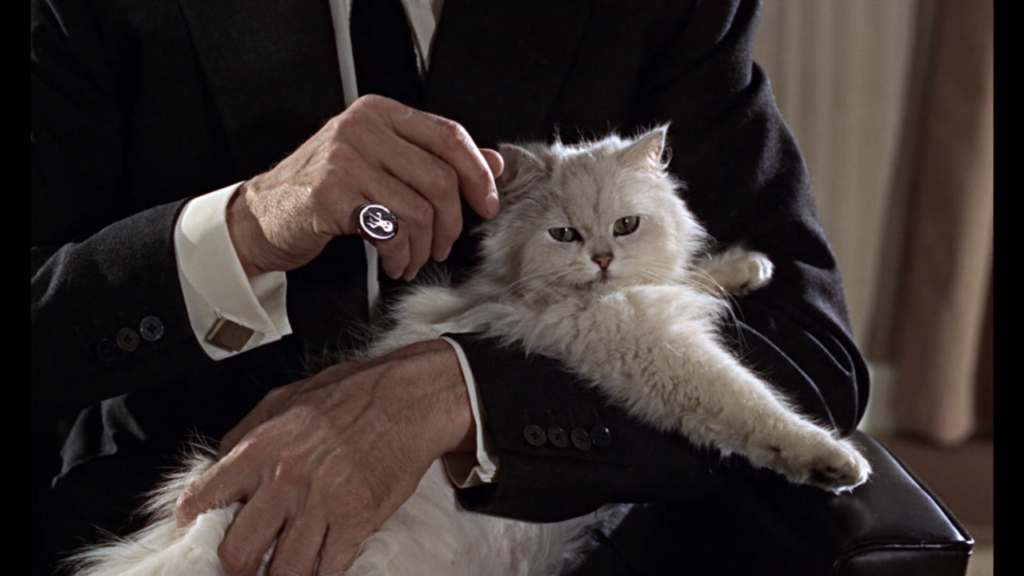 last movies cph dox 2026